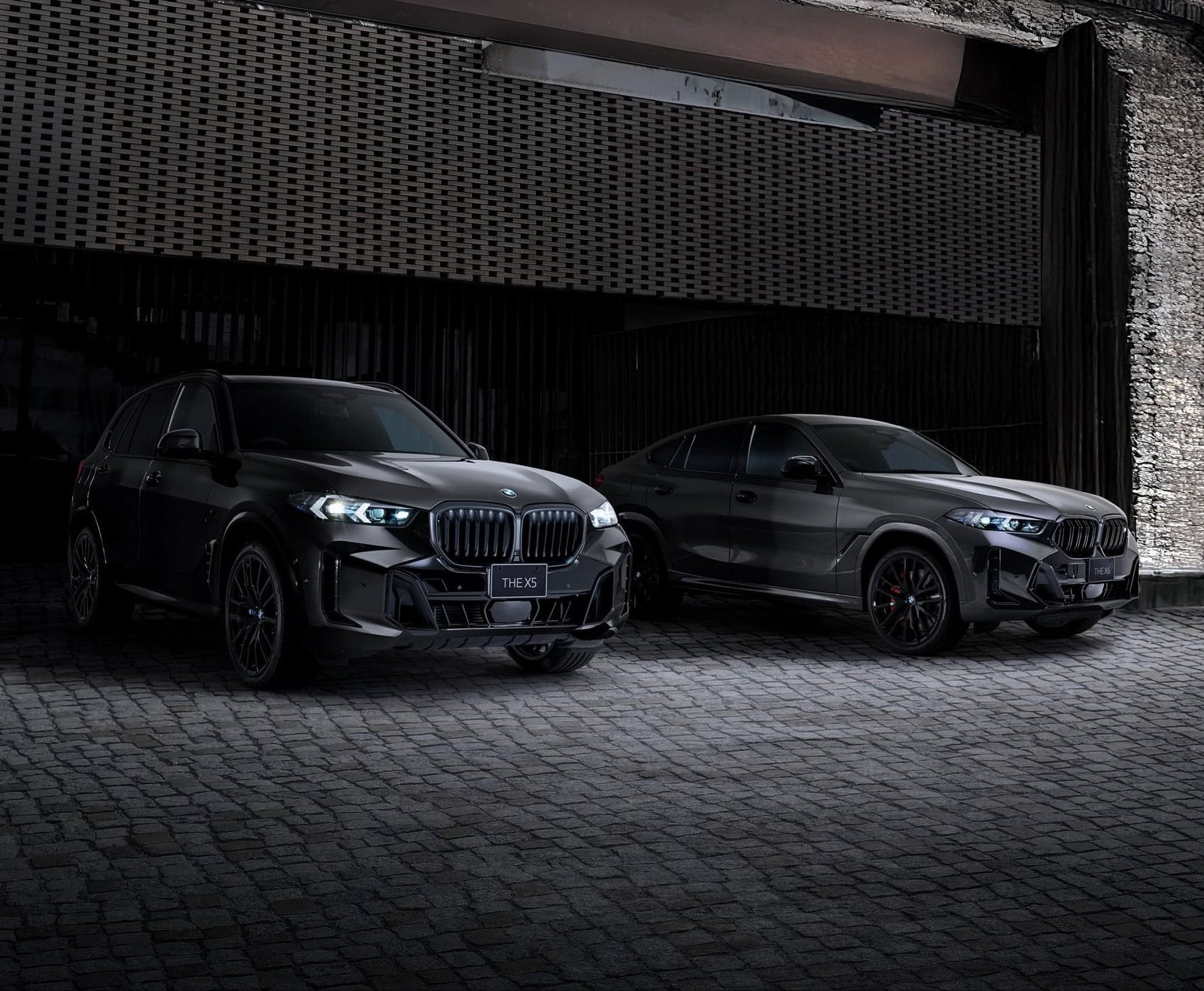 BMW X5 AND X6 SHADOW EDITION FOR JAPAN 1