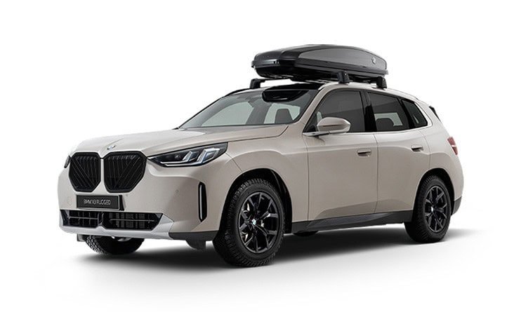 BMW X3 RUGGED EDITION 8